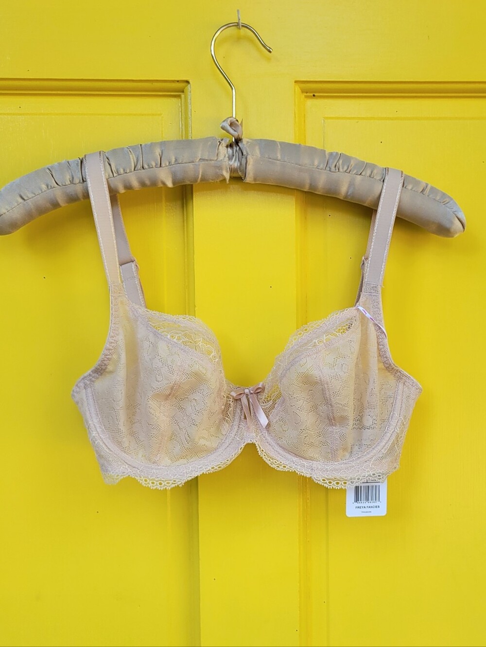 NWT Freya Fancies Lace Underwire Bra Nude Blush 30DDD UK 30E Full Bust Lingerie